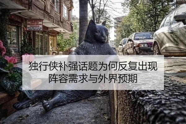 独行侠补强话题为何反复出现 阵容需求与外界预期