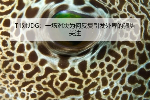 T1对JDG：一场对决为何反复引发外界的强势关注